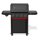 Weber SPIRIT